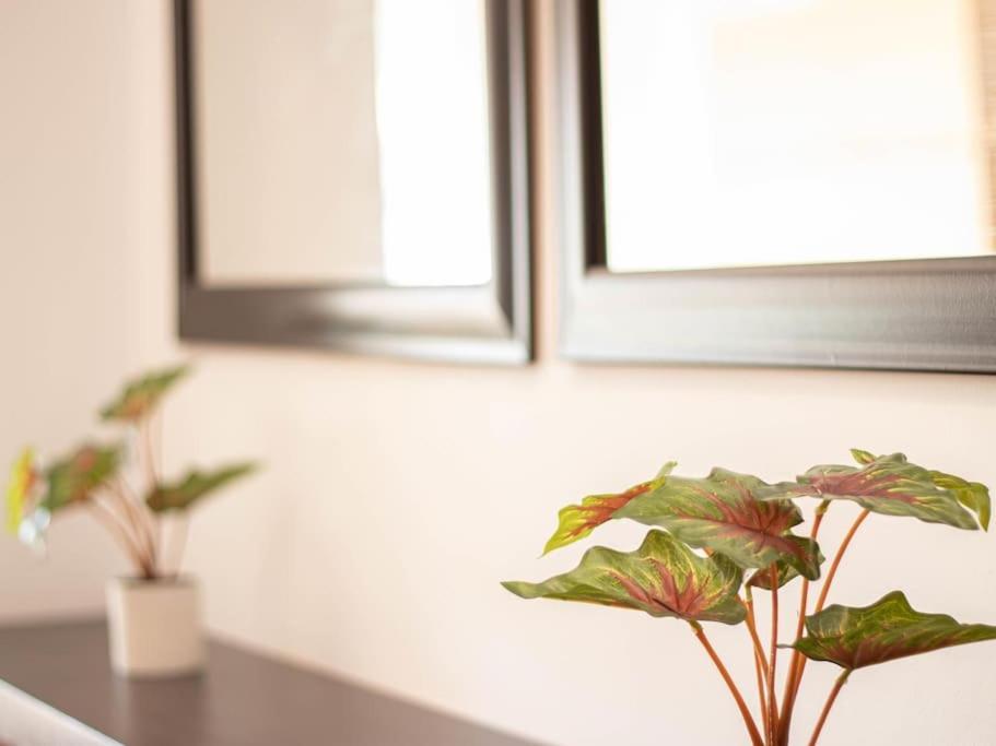 Armilla Apartament المظهر الخارجي الصورة